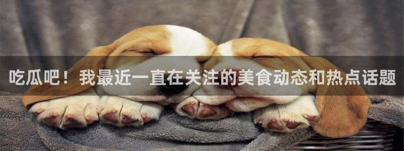 热点爆料话题：吃瓜吧！我最近一直在关注的美食动态和热点话题