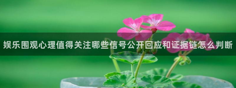 吃瓜新闻