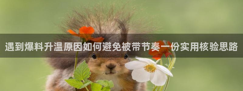 911吃瓜大全