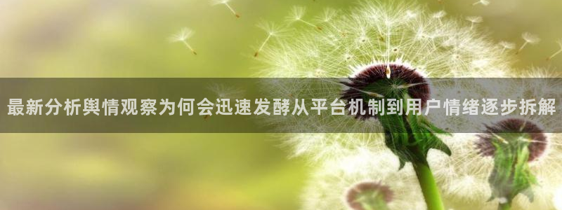 最新网络话题