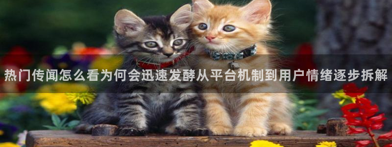 911爆料事件榜