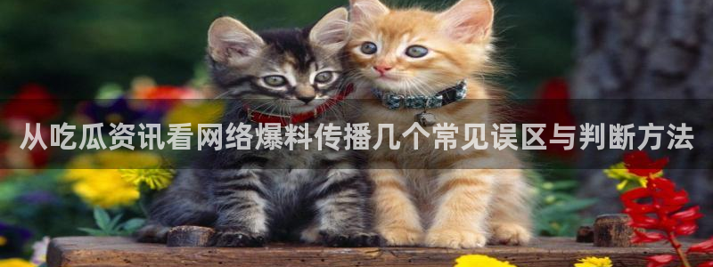 网络热点爆料