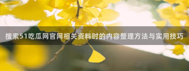 最新网络资讯
