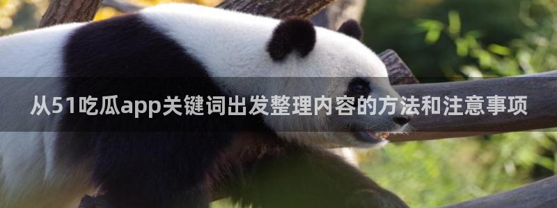 吃瓜事件大全
